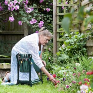 garden kneeler and seat,garden kneeler,
best garden kneeler and seat,
best garden kneeler,
best garden kneeler bench,
garden seat,
garden kneeler seat,
2-in-1 foldable garden kneeler and seat with tool pouch,
best garden seat kneeler,
best garden kneeler seat,
garden seat and kneeler,
garden kneeler with handles,
best garden kneeler and seat 2023,
heavy duty garden kneeler and seat,
garden kneeler and bench,
garden kneeler and stool,
2-in-1 garden kneeler and seat,
Garden Serenity,
https://gardenserenity.blog/