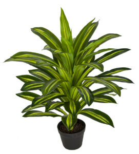 Nearly Natural Dracaena Plant, Artificial Plants, Home Decor, Indoor Plants, Office Decor, Faux Plants, Plant Care, Greenery, Interior Design, Low Maintenance Plants, Silk Plants, Decor Tips, Houseplants, Plant Styling, Lifelike Plants, Garden Serenity, https://gardenserenity.blog/