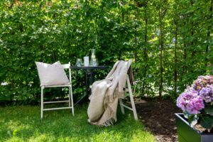 garden serenity, serenity, zen garden serenity, garden of serenity, garden, serenity garden, lush garden serenity, summer garden serenity, cottage garden serenity, blooming garden serenity, paradise garden serenity, Garden Serenity, https://gardenserenity.blog/